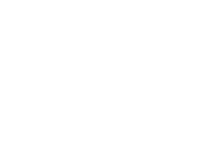 nouvel economic logo